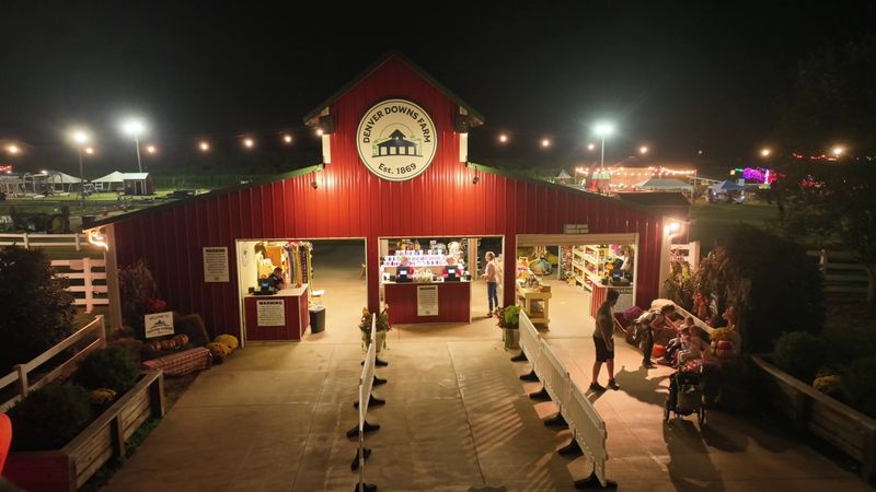 Funnel Cake, Kettle Corn, and Frozen Cider Funnel Cake, Kettle Corn, and Frozen Cider