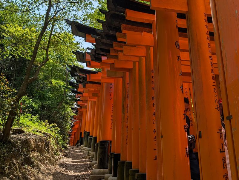 Fushimi Inari Taisha, Kyoto, Japan Fushimi Inari Taisha, Kyoto, Japan
