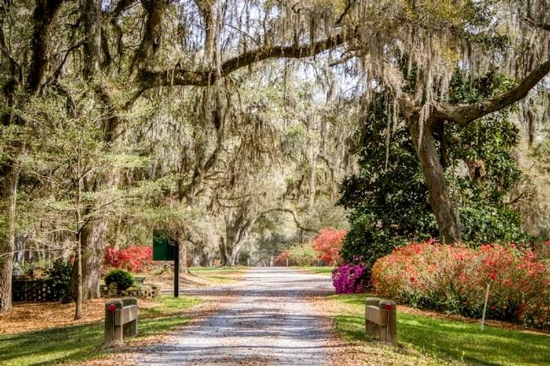 Gardens, Oaks, and Riverside Benches Gardens, Oaks, and Riverside Benches