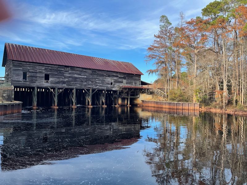 George L. Smith State Park, Twin City, GA