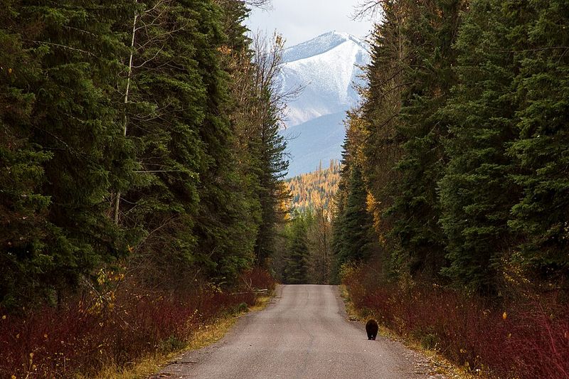 Glacier National Park, West Glacier, Montana