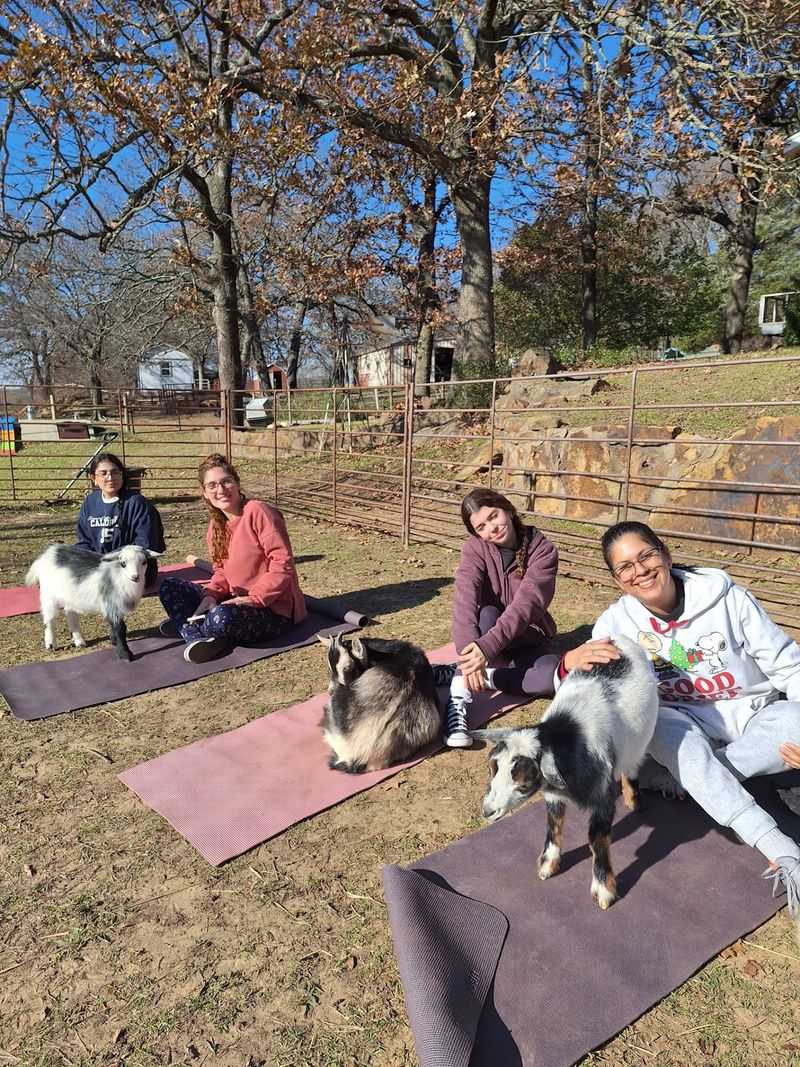 Goat Yoga with a View Goat Yoga with a View