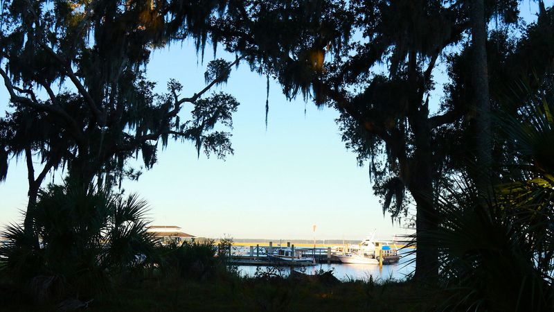 Golf Carts, Gullah History, and Wild Places