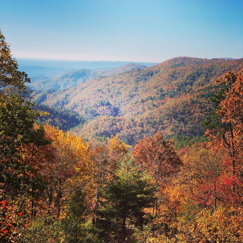 Gorges State Park, Sapphire, NC Gorges State Park, Sapphire, NC