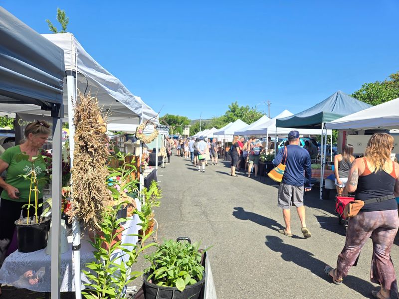 Grants Pass Growers Market, Grants Pass, OR Grants Pass Growers Market, Grants Pass, OR