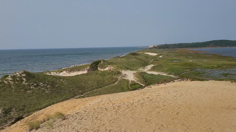 Great Island Trail, Wellfleet, MA