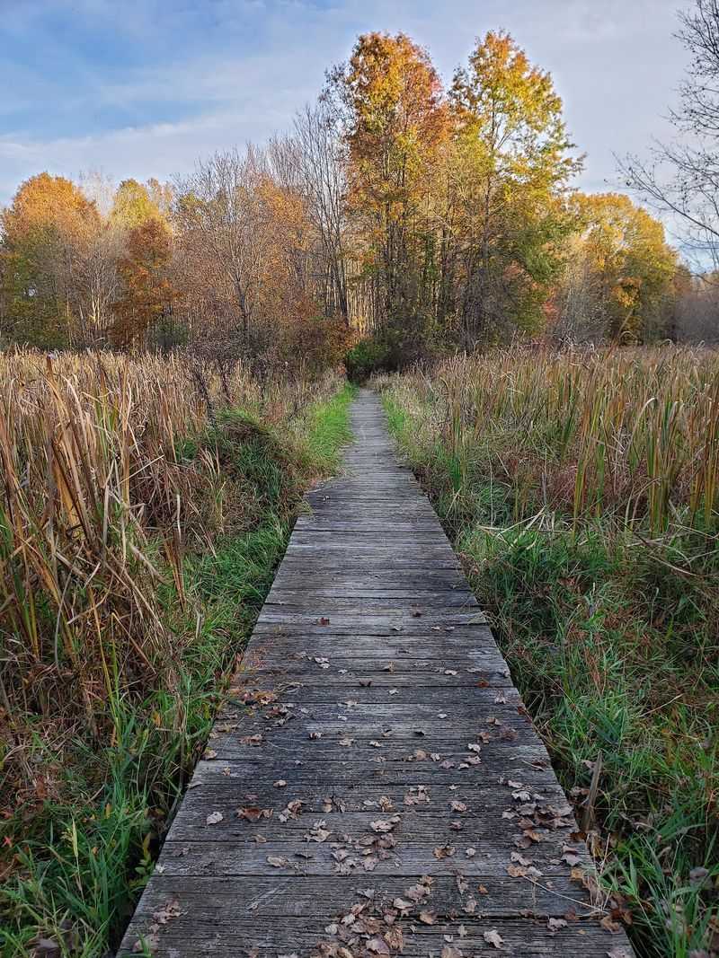 Great Swamp National Wildlife Refuge, Basking Ridge, NJ Great Swamp National Wildlife Refuge, Basking Ridge, NJ