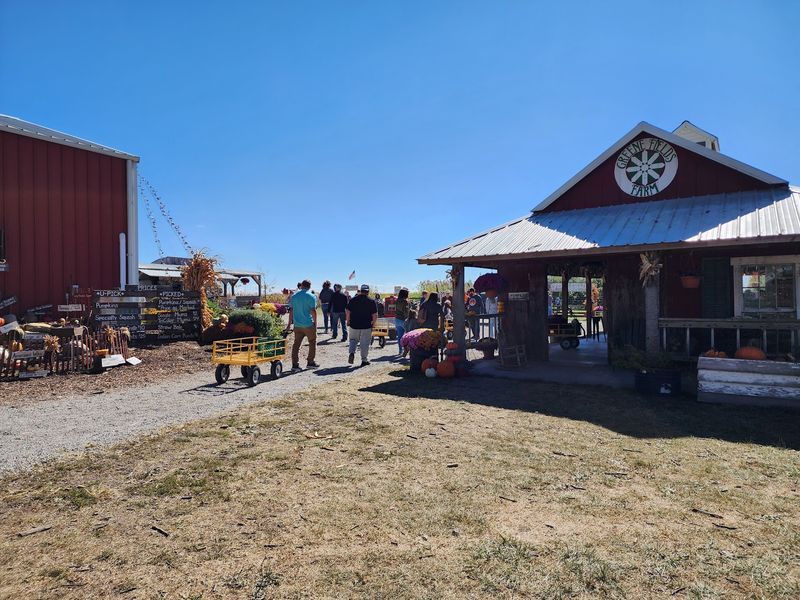Greene Fields Farm, LLC, Greenfield, IL Greene Fields Farm, LLC, Greenfield, IL