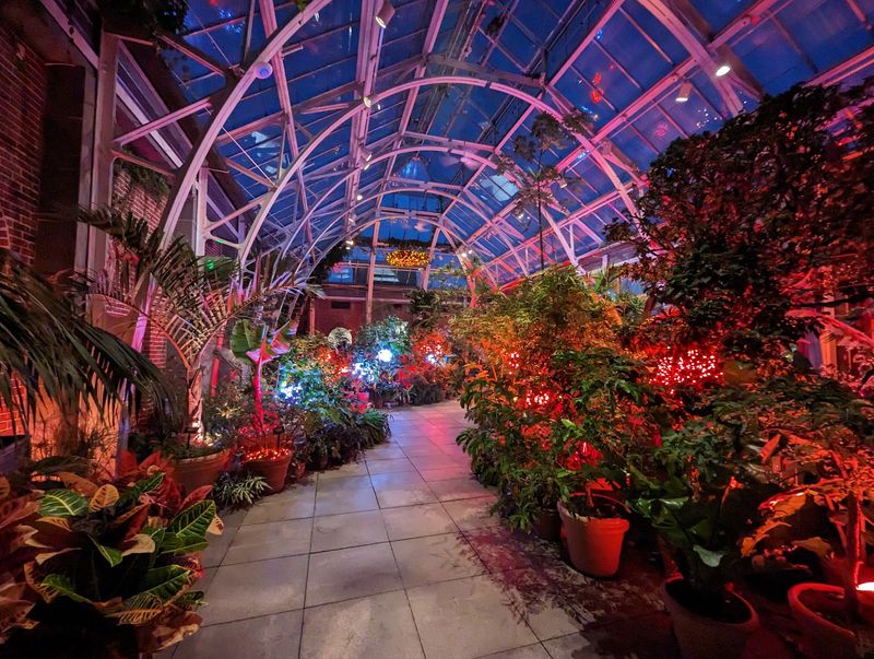 Greenhouses That Shine in the Cold Months