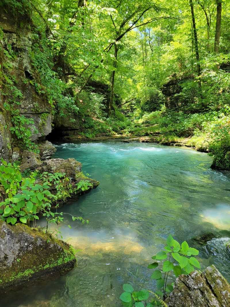 Greer Spring Trail, Alton, Missouri