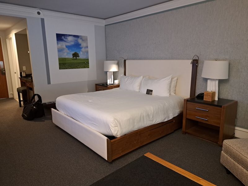 Guest Rooms Built for Downtime Guest Rooms Built for Downtime