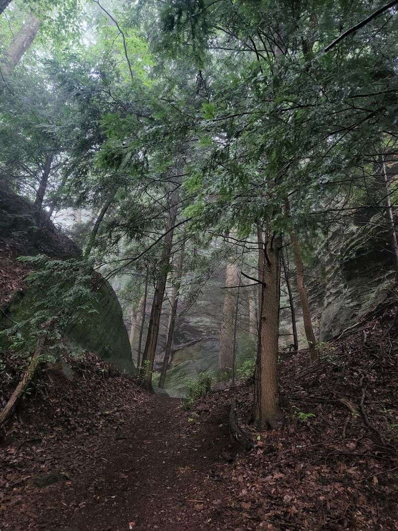Guided Nature Tours and Forest Bathing Guided Nature Tours and Forest Bathing