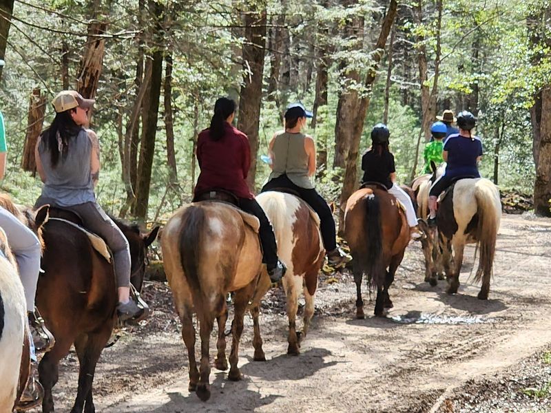 Guided Trail Rides Through the Cove Guided Trail Rides Through the Cove