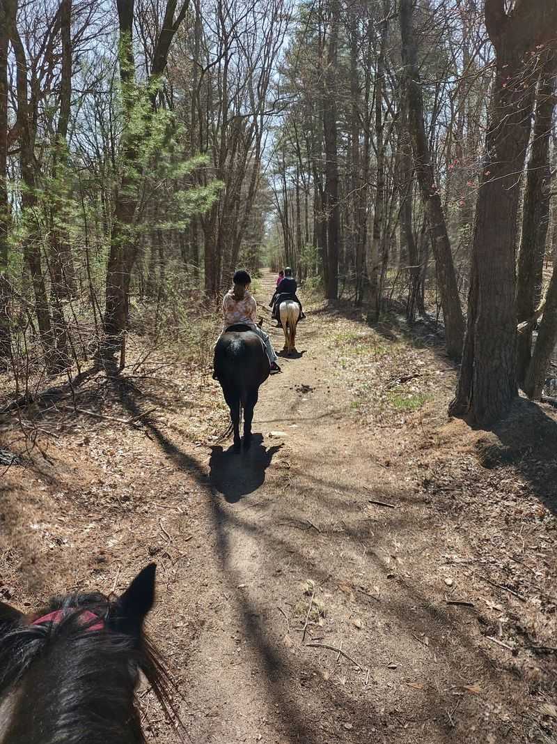 Guided Trails Through Quiet Woods Guided Trails Through Quiet Woods