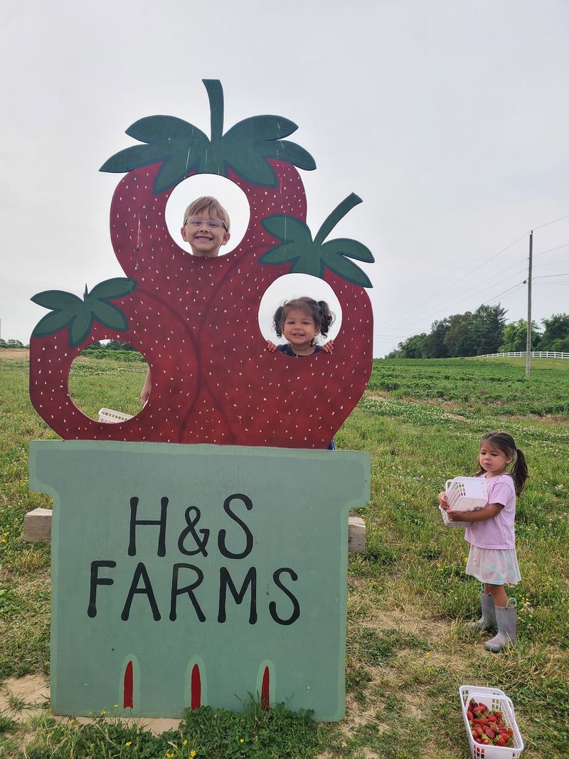 H & S Farms, Clarksville, TN