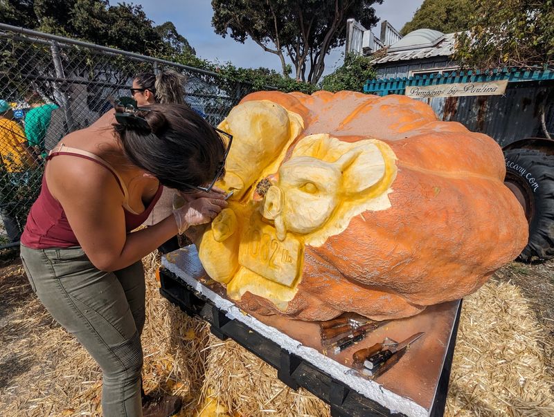 Half Moon Bay, California: Half Moon Bay Art & Pumpkin Festival Half Moon Bay, California: Half Moon Bay Art & Pumpkin Festival