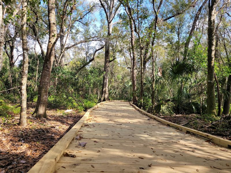 Hammock Park Hammock Park