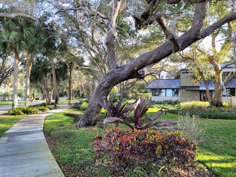 Hammock Park's Quiet Wildlife Corner Hammock Park's Quiet Wildlife Corner