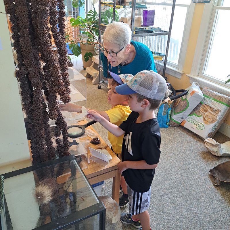 Hands-On Activities For Nonbeach Hours
