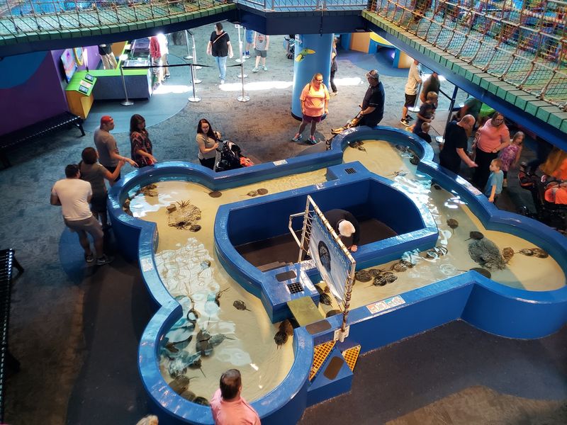 Hands-On Touch Tanks Hands-On Touch Tanks