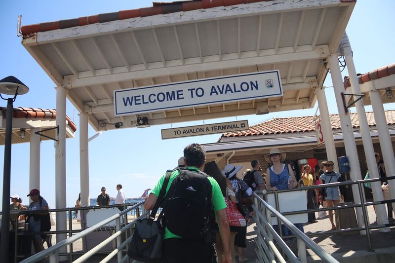 Handy Tips Before You Board