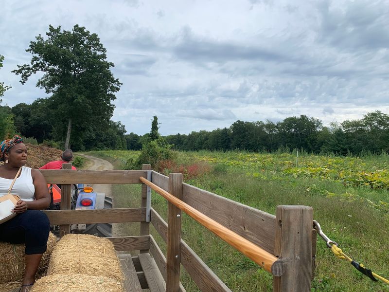 Hayrides Across the Property Hayrides Across the Property