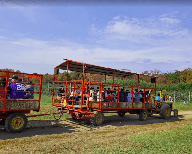 Hayrides That Connect the Farm Pieces Hayrides That Connect the Farm Pieces