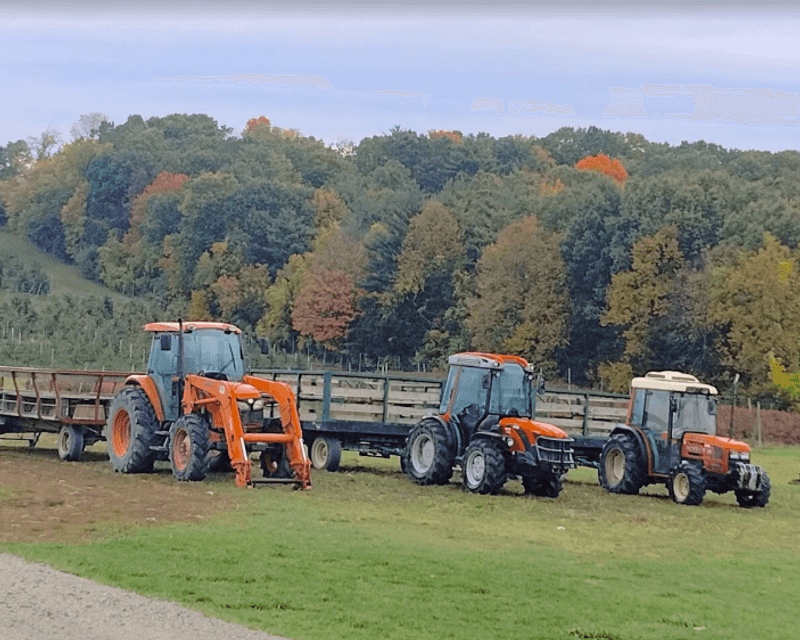 Hayrides, Tractor Carriages, and Live Music Hayrides, Tractor Carriages, and Live Music