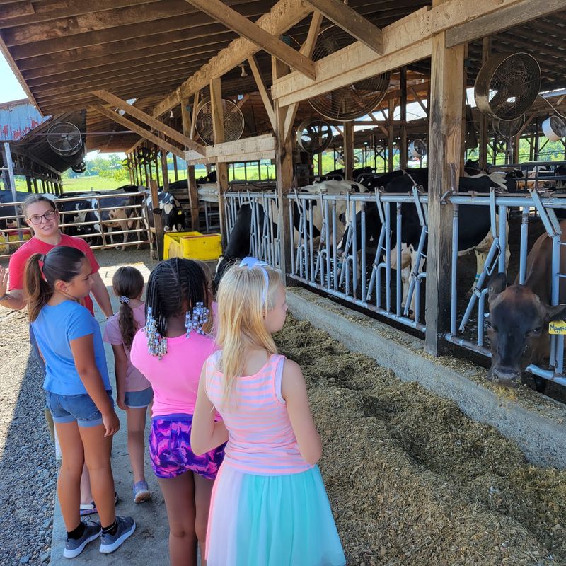 Hayrides and Farm Tours