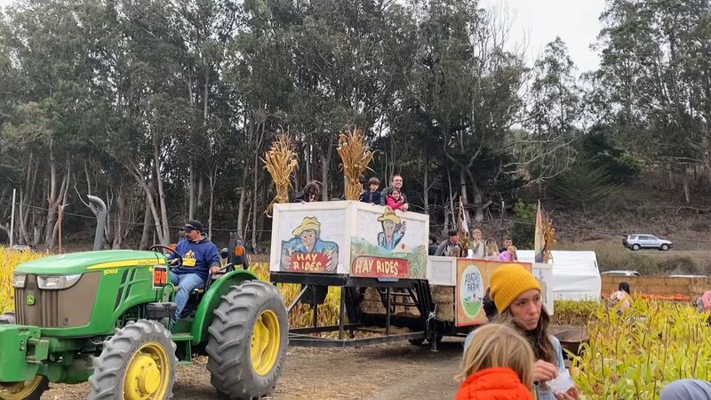Hayrides and a Little Train Hayrides and a Little Train
