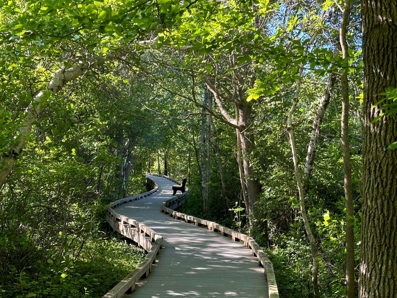 Hellcat Boardwalk Loop Hellcat Boardwalk Loop