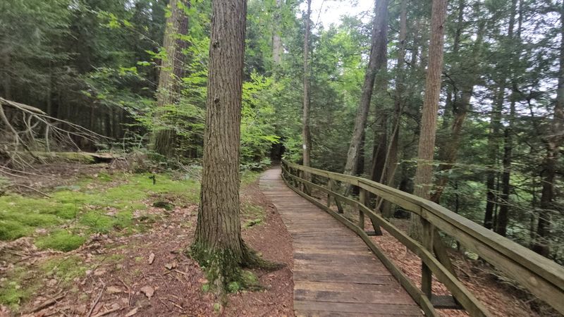Hemlock Trail, Montrose, Pennsylvania Hemlock Trail, Montrose, Pennsylvania