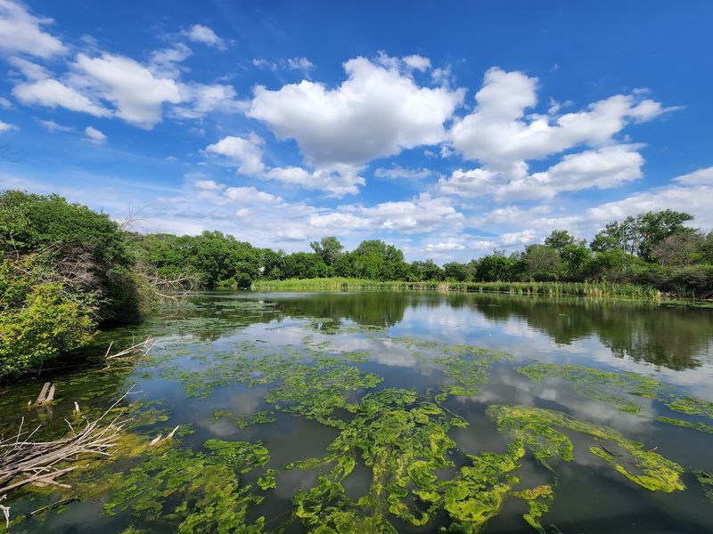 Heron Haven Wetland Sanctuary, Omaha, Nebraska