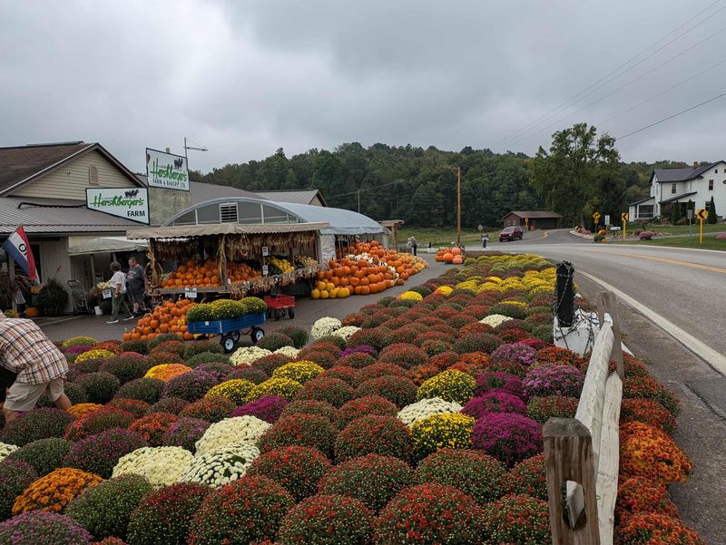 Hershberger's Farm and Bakery, Millersburg, OH Hershberger's Farm and Bakery, Millersburg, OH