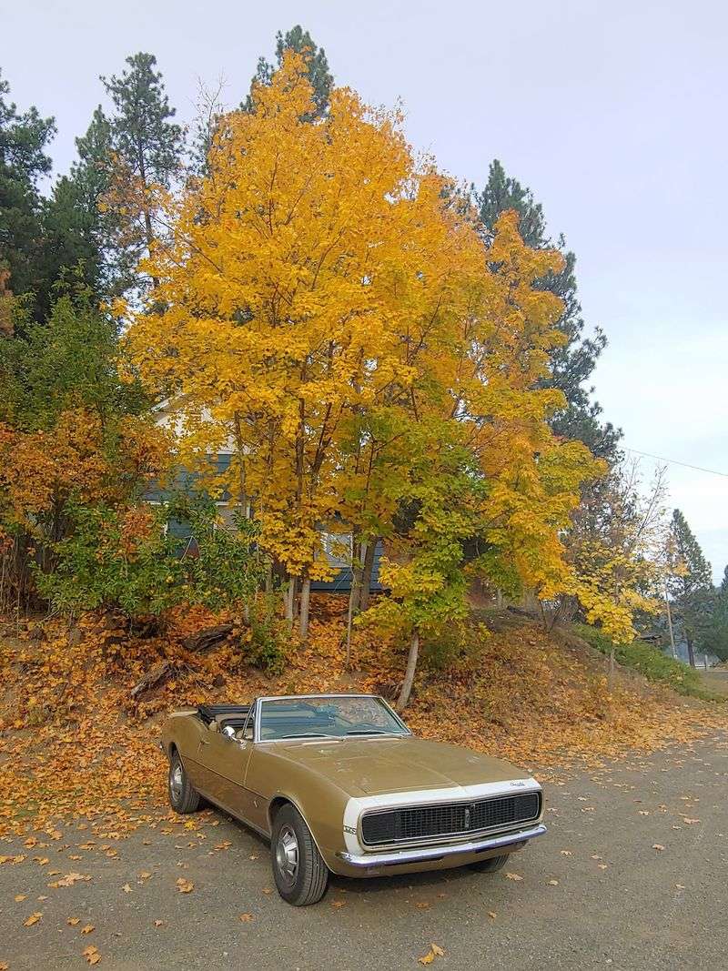 Heyburn State Park, Plummer, Idaho