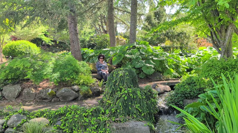Hidden Benches and Unhurried Afternoons Hidden Benches and Unhurried Afternoons
