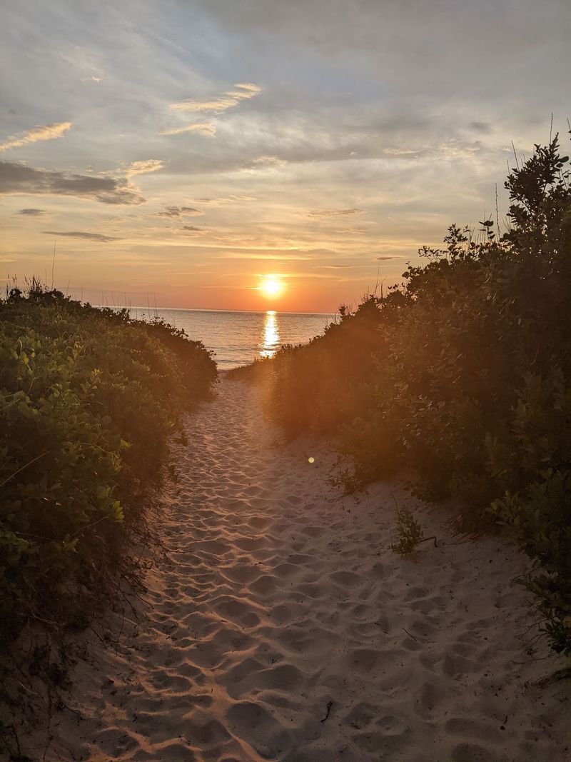 Higbee Beach, Cape May, NJ Higbee Beach, Cape May, NJ