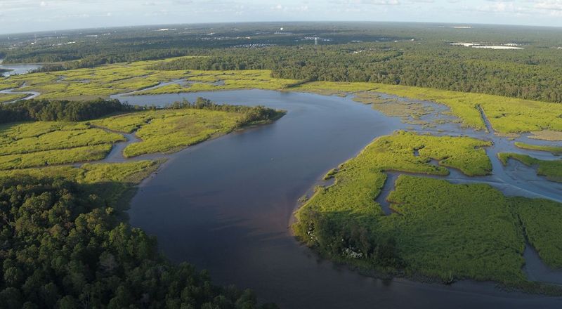 High Bluffs Above The Maurice River