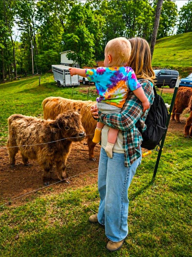 Highland Hills Farm LLC, Sylva, NC