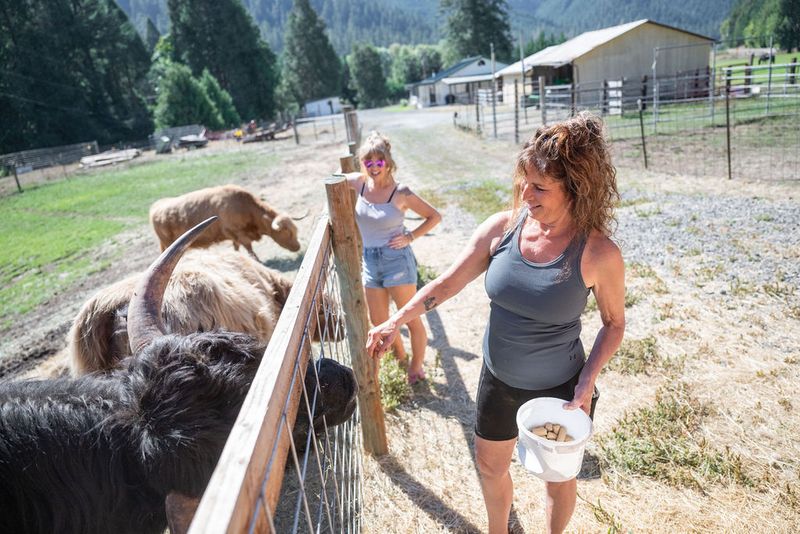 Highlands and Horses Ranch Airbnb, LLC, Myrtle Creek, OR