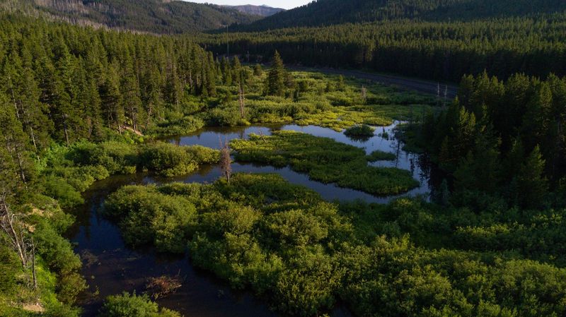 Hiking, Fly-Fishing, and the Outdoors at Your Feet Hiking, Fly-Fishing, and the Outdoors at Your Feet