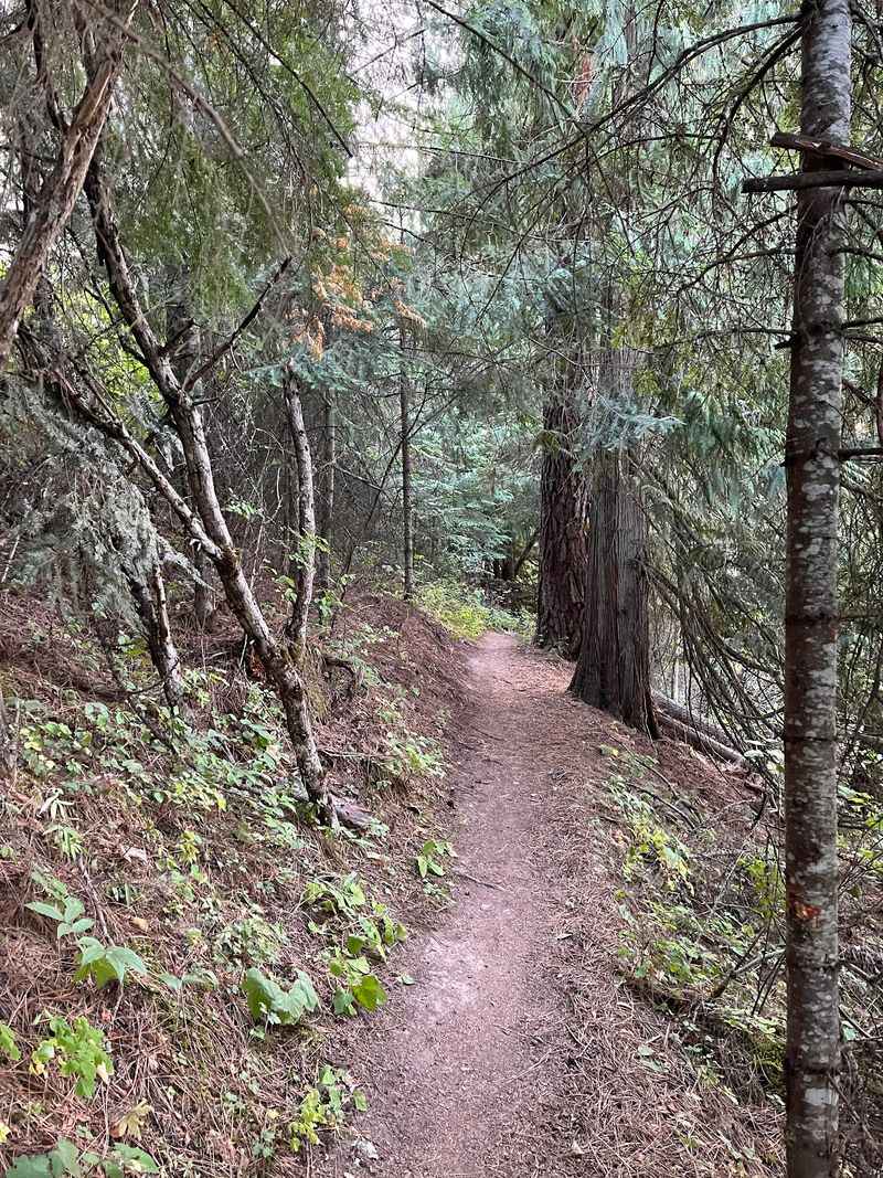 Hiking Trails That Reveal the Park From Every Angle Hiking Trails That Reveal the Park From Every Angle