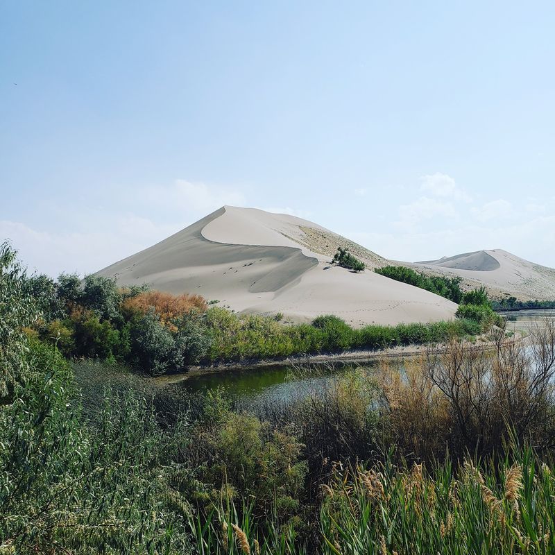 Hiking Trails Through Five Distinct Habitats