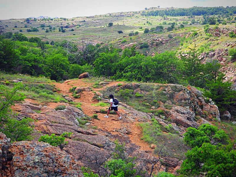 Hiking Trails, Wildflower Routes, and Getting Off the Pavement Hiking Trails, Wildflower Routes, and Getting Off the Pavement