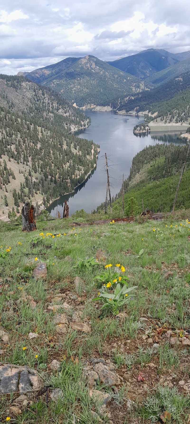 Hiking and Backcountry Access Through the Bitterroot National Forest