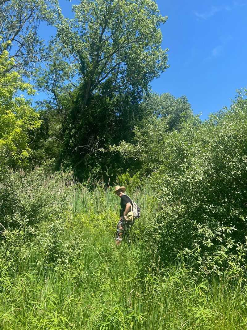 Hiking and Trail Conditions Worth Knowing Hiking and Trail Conditions Worth Knowing