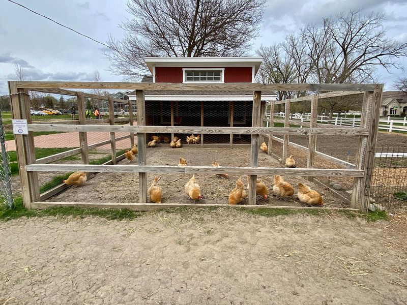 Historic Wagner Farm, Glenview, Illinois Historic Wagner Farm, Glenview, Illinois