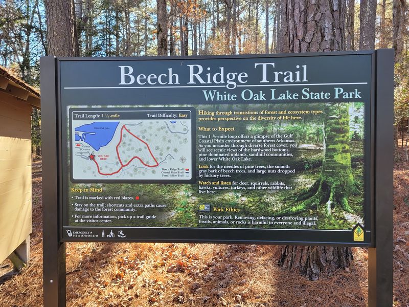 History Carved Into the Landscape: The Park's Civil War Connection History Carved Into the Landscape: The Park's Civil War Connection