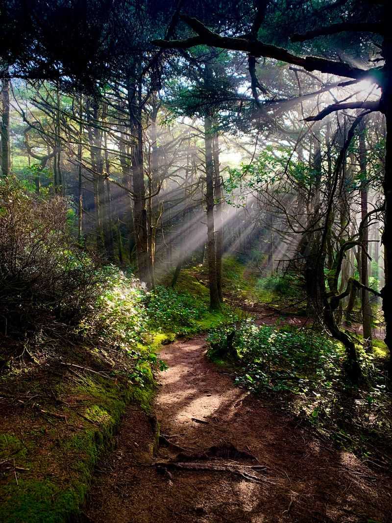 Hobbit Beach Trail Head, Florence, OR Hobbit Beach Trail Head, Florence, OR