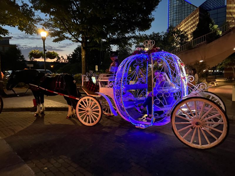 Holiday Rides Wrapped in Twinkling Lights